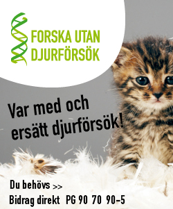 banner forska katt