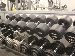 Hantlar 5-50 kg