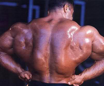 dorian yates rygg