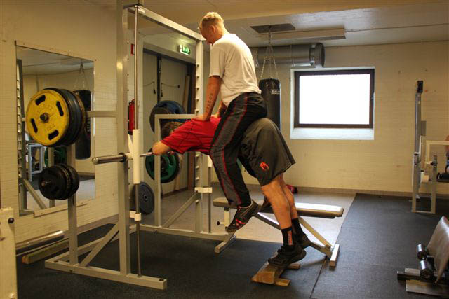 Donkey Calf Raises